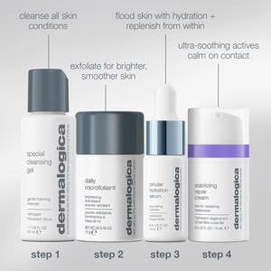 Dermalogica Home For The Holidays Set